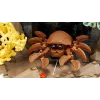 LEGO ICONS 10366 Acquario tropicale