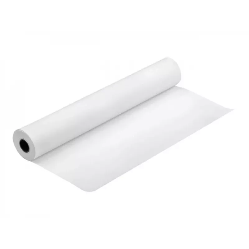Epson pellicola crystal clear per 24 pollici x 30,5 m (per SP WT7900)