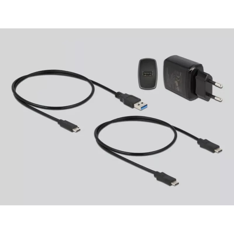 Docking station DeLOCK M.2 per 2 x M.2 NVMe PCIe SSD con funzione di clonazione