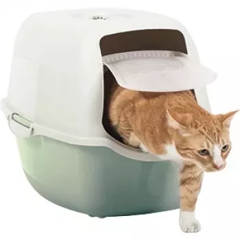 Lettiera per gatti con cupola Rotho Bailey verde bianca 560×400×390 mm, filtro carbone, 1 maniglia