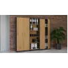 Libreria Topeshop OLIV 2D ANT/ART KPL