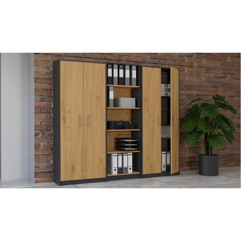 Libreria Topeshop OLIV 2D ANT/ART KPL