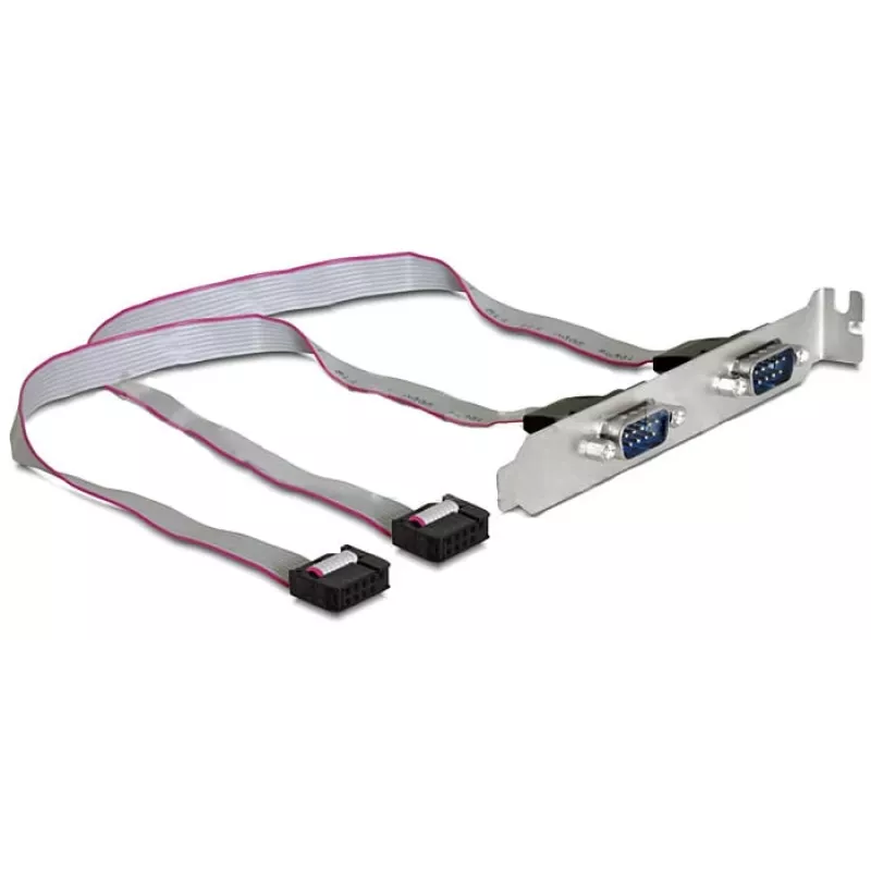Delock Staffa slot, 2 x porta seriale (DB9 maschio), 40 cm