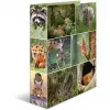 Raccoglitore ad anelli HERMA 7202 A4 multicolore