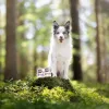 RAW PALEO Puppy Monoprotein Beef - cibo umido per cuccioli - 400 g