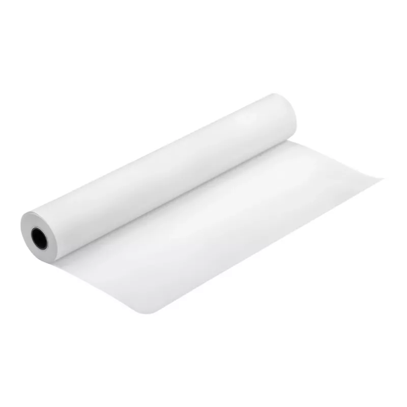 Epson Production Canvas Matte, 610 mm x 12,2 m, 12,2 m, 61 cm, 61 cm (24 inch), opaco, 320 g/m²