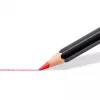 Pastelli Staedtler 149C C24
