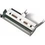 HONEYWELL 300 dpi - testina di stampa - per EasyCoder PX4i