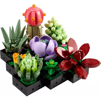 Lego Icons 10309 Piante grasse