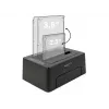 DeLOCK - docking station per HDD vani: 2 - SATA 6Gb/s - 6 Gbit/s - USB 3,1 (Gen 2) - nero (63957)