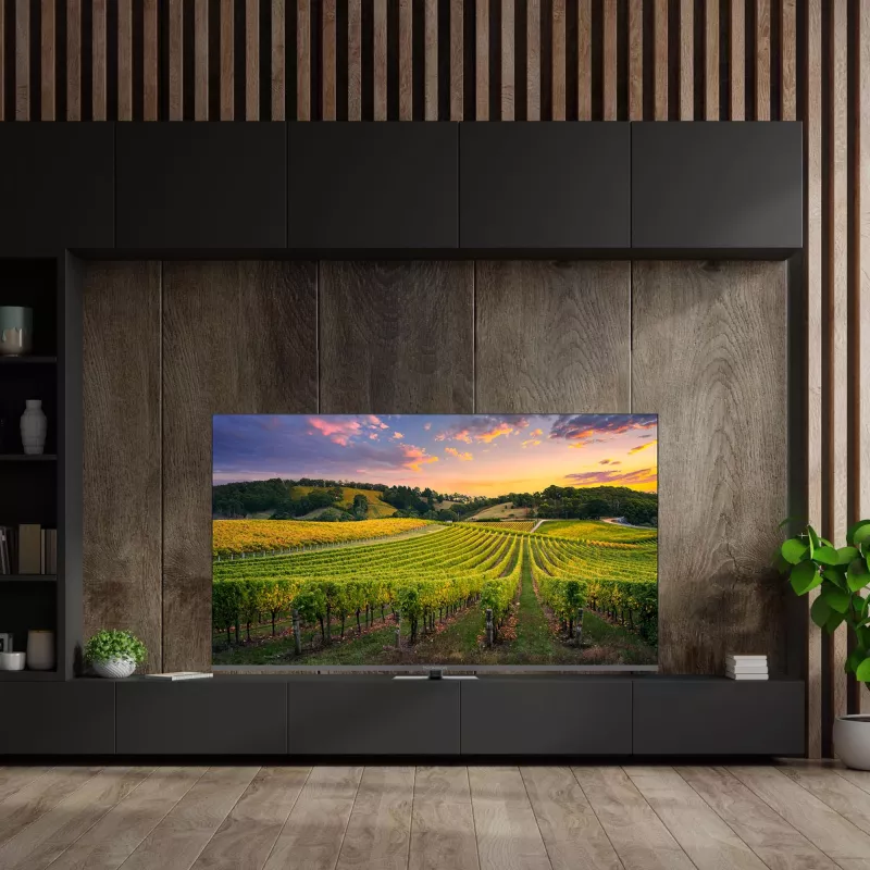 THOMSON 65QG5C14 65 4K Ultra HD TV piatto QLED