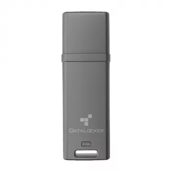DataLocker 4 GB DL GO 256-Bit memoria flash USB 3.2 Gen 1 - assortiti (DLGO-004)
