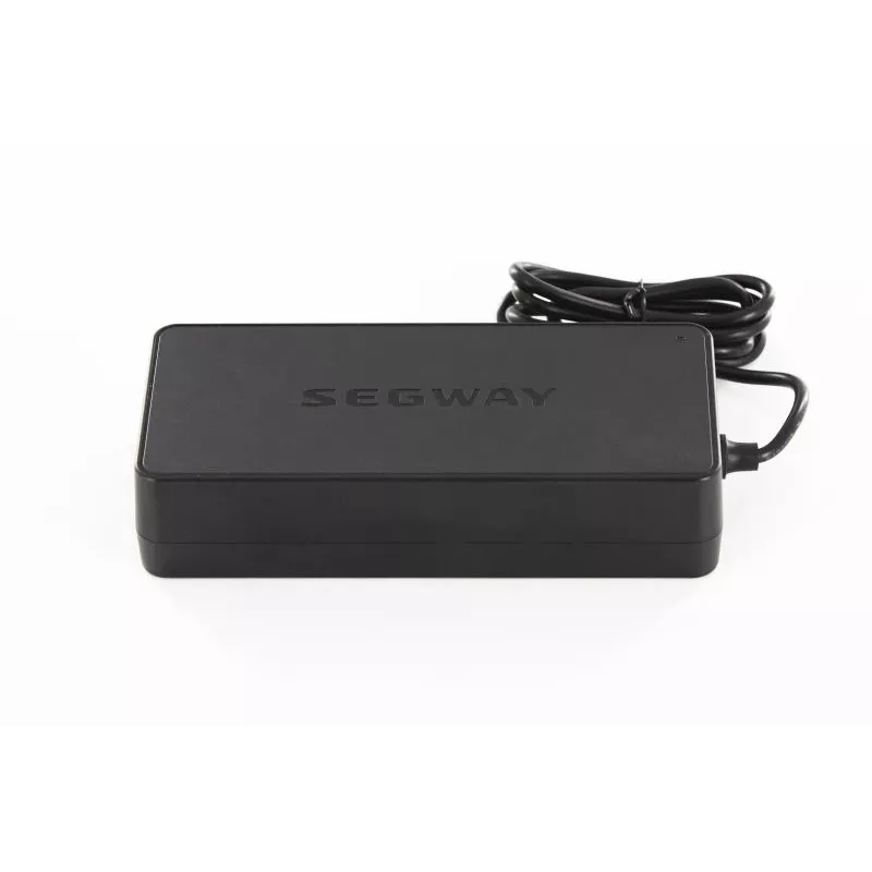 Caricabatterie Ninebot by Segway 36V per Max F E D-Serie