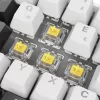 Sharkoon SGK50 S4 tastiera Home USB QWERTZ tedesco bianco RGB LED 60%
