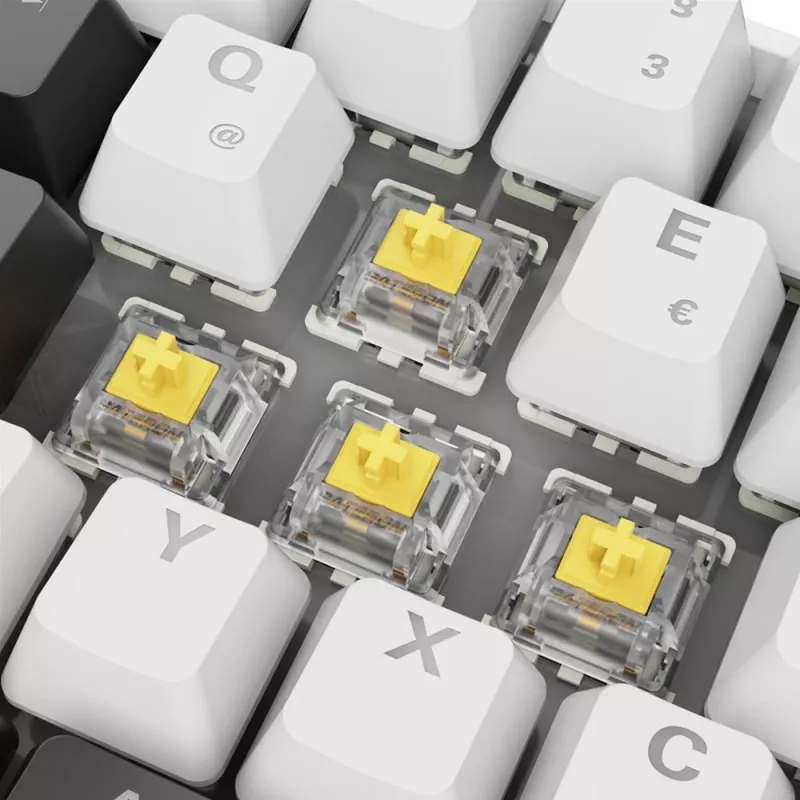 Sharkoon SGK50 S4 tastiera Home USB QWERTZ tedesco bianco RGB LED 60%