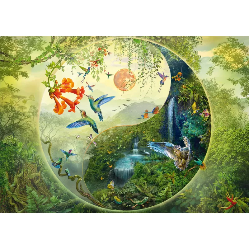 Puzzle 1000 pezzi, schmidt spiele Silvia Christoph — Yin & Yang nella foresta dei colibrì