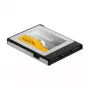 Scheda di memoria DeLOCK 54066 256 GB CFexpress