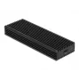 Case per SSD DeLOCK case combo esterno USB Type-C per SSD M.2 NVMe PCIe o SATA