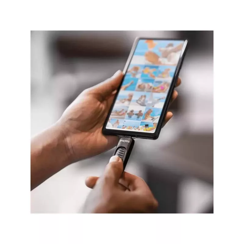 Chiavetta USB SanDisk 128 GB USB Type-C SDCZ480-128G-G46