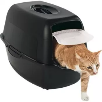 Lettiera per gatti con cupola Rotho Bailey Cat nera 560×400×390 mm, filtro carbone, sportello, maniglia