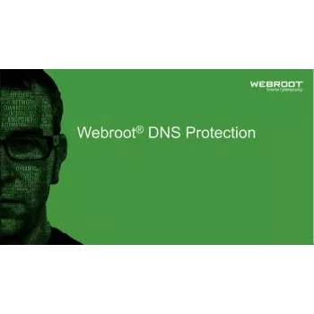 Webroot | DNS Protection with GSM Console | 1 anno | Quantità licenza 10-99 utenti