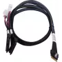 Cavo SAS ADAPTEC Microchip Technology 2305500-R SlimSAS ×8 su 2×2SFF-8639 U.2, 0,8 m, nero