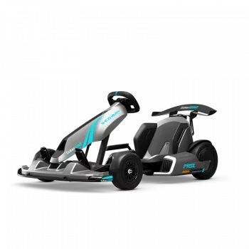 Go-kart Ninebot by Segway Gokart PRO 2 Pedale 1 utente 4 ruote Grigio