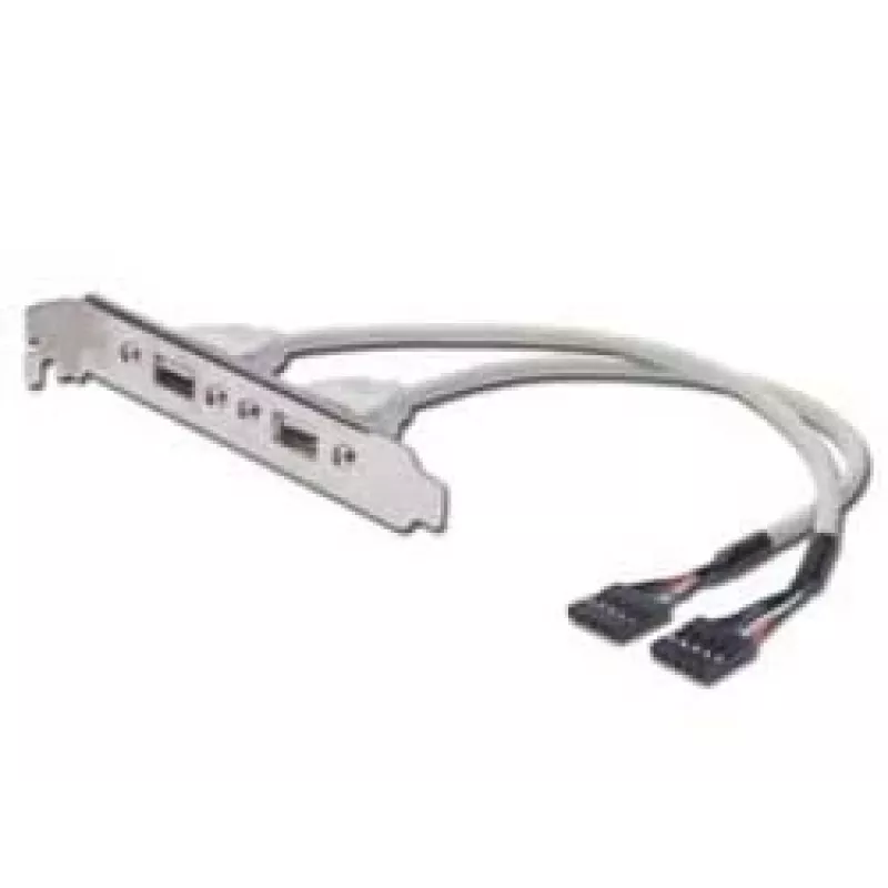 Cavo con staffa USB Digitus AK-300301-002-E