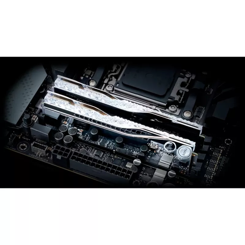 G.skill F5-8000J4048G24GX2-TR5NS modulo di memoria