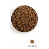 ORIJEN Dog Original - cibo secco per cani - 2 kg