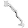 Braccio per monitor SILVERSTONE SST-ARM14 supporto VESA regolabile in altezza per un monitor, argento