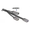DeLOCK 64303 Hub USB 3.2 Gen 1 Type-C 5000 Mbit/s grigio