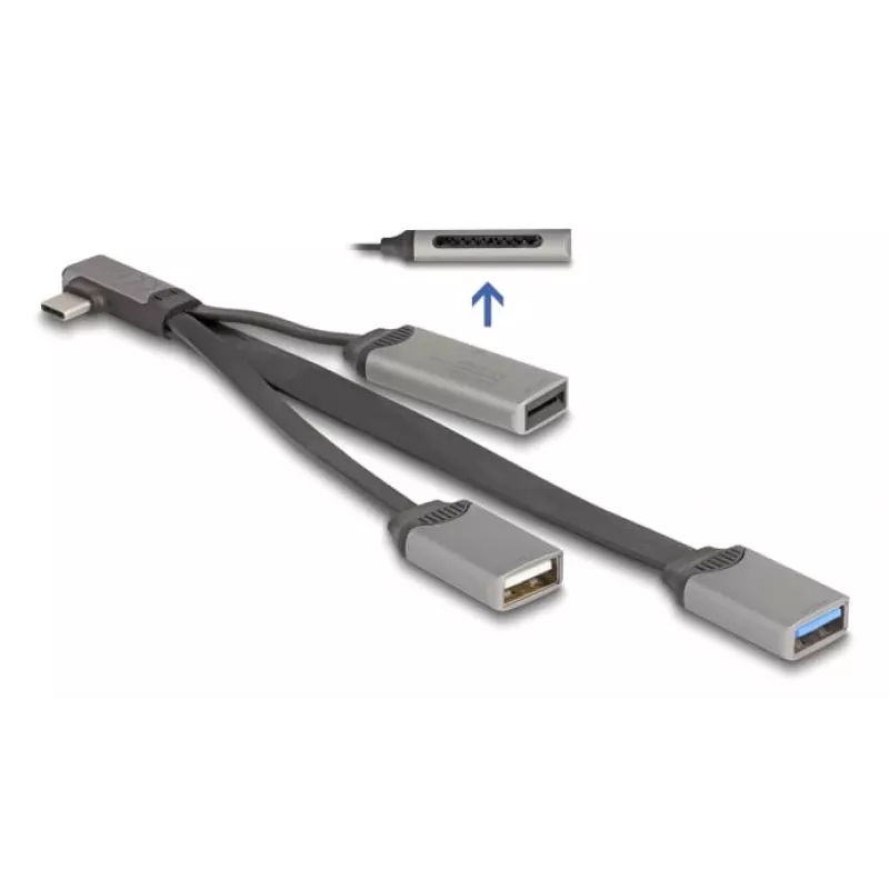 DeLOCK 64303 Hub USB 3.2 Gen 1 Type-C 5000 Mbit/s grigio
