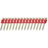 DCN8903032, morsetto, assortimento chiodi a bolzone, 1005 pz., 3,2 cm, DCN890N-