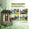 EASYPIX Bird Camera Easypix Bird Cam 10123 1080p HD visione notturna