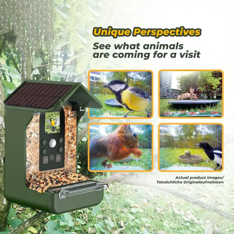 EASYPIX Bird Camera Easypix Bird Cam 10123 1080p HD visione notturna