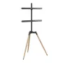 Supporto a terra per TV 32-65/TRIPOD TVS-65S-01 Gembird