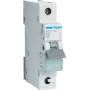 Hager MCS132. Corrente nominale: 32 A. Tipo: curva C, numero di moduli (max): 1 modulo. Larghezza: 17,5 mm, profondità: 70 mm, altezza: 83,4 mm (MCS132)