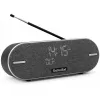 Radio portatile TechniSat DIGITRADIO BT 2 DAB+ FM 20W