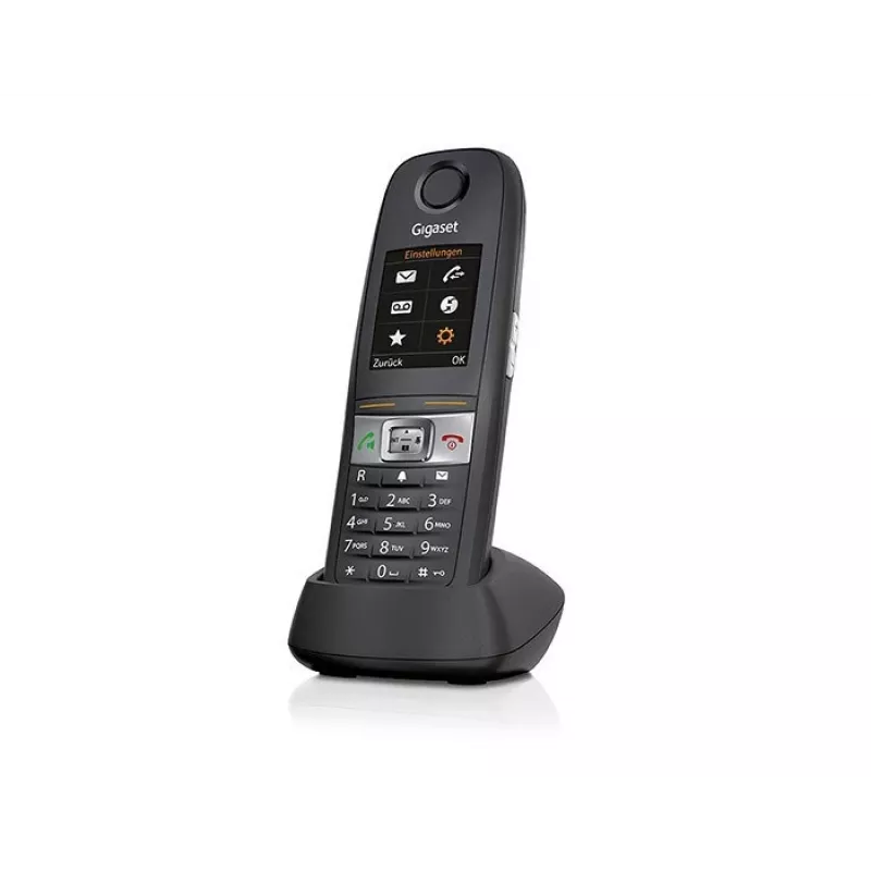 Telefono analogico, Gigaset E630HX, grigio
