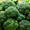 PNOS broccolo Caesar semi di ortaggi, 2 g