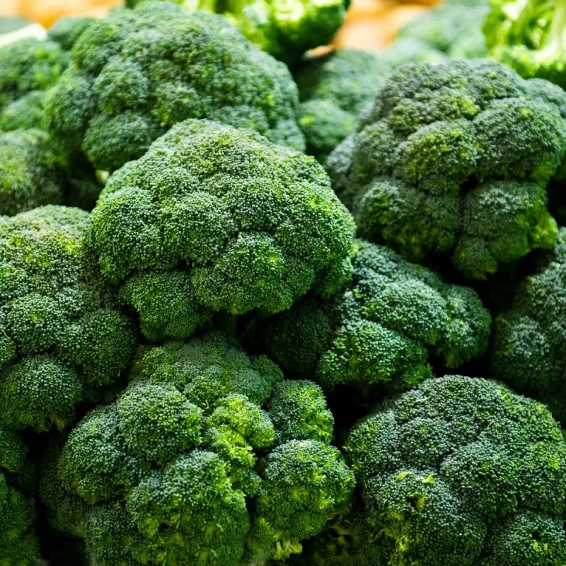 PNOS broccolo Caesar semi di ortaggi, 2 g