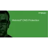 Webroot | DNS Protection con console GSM | 1 anno | Quantità licenza 1-9 utenti