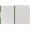 Quaderno Herlitz 11293099 A4 80 fogli verde