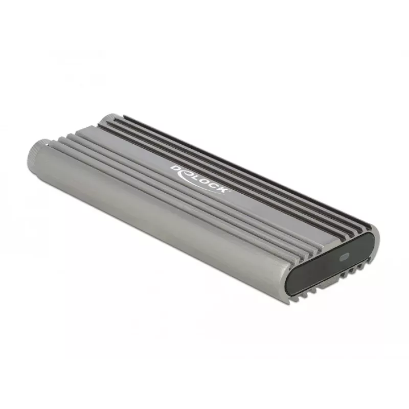 Case per SSD DeLOCK 42001 argento M.2