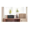 Edifier | Diffusore attivo compatto | D12 | Bluetooth | Connessione wireless