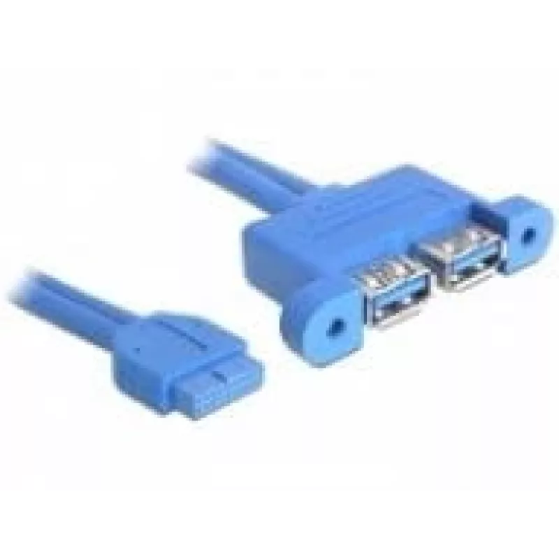 Cavo USB DeLOCK 82941 USB 3.2 Gen 1 0,45 m 2 x USB A blu