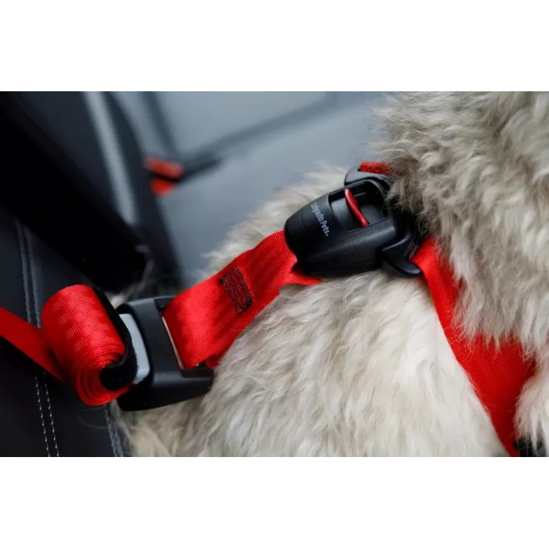 Pettorina per cani ZOLUX TRAVEL SAFE M, taglia M, rosso