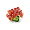 LEGO BOTANICALS 10348 Bonsai acero rosso giapponese