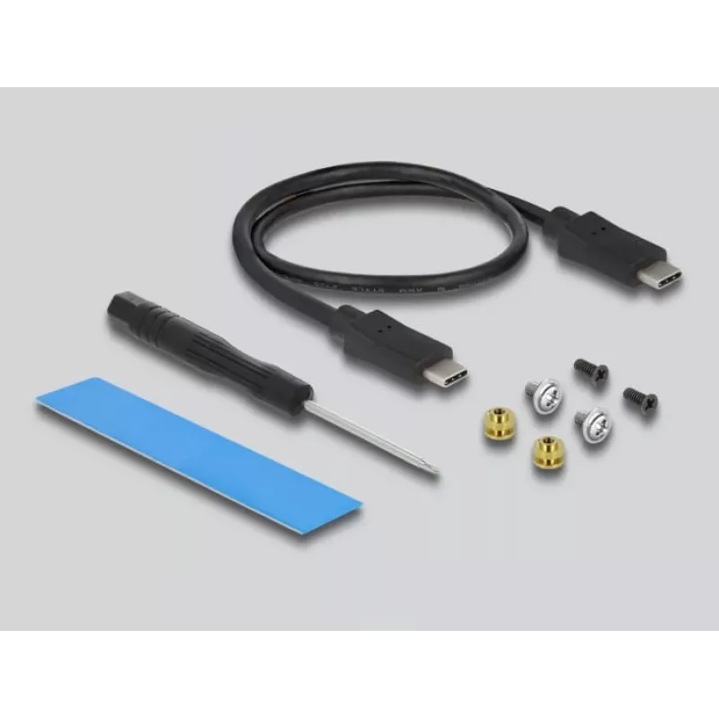 Case per SSD DeLOCK case combo esterno USB Type-C per SSD M.2 NVMe PCIe o SATA